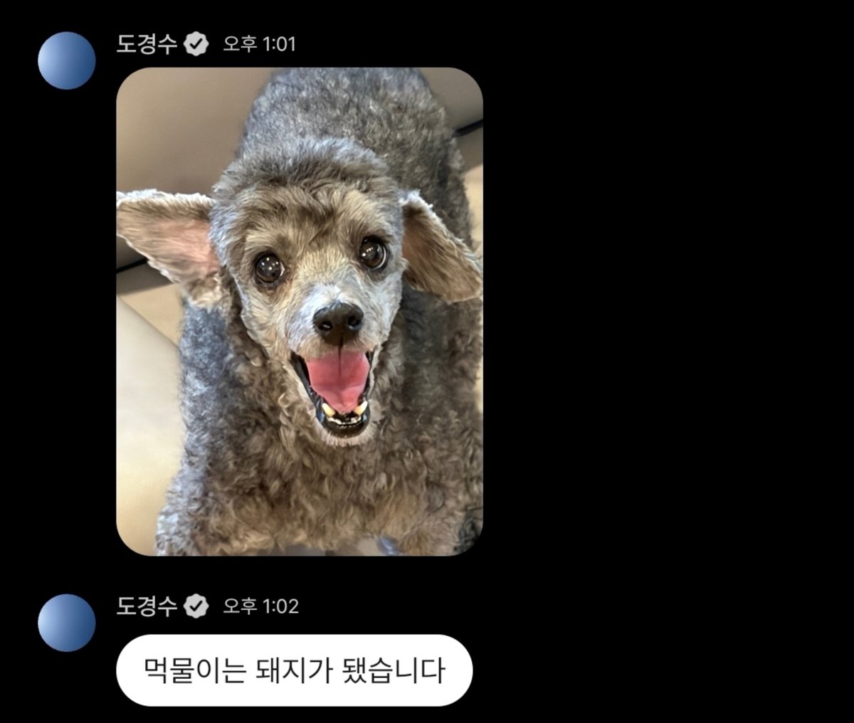 DODBBONG's tweet photo. 먹물이는 돼지가 됐습니다

ㅋㅋㅋㅋㅋㅋㅋㅋㅋㅋㅋㅋㅋㅋㅋㅋㅋㅋㅋㅋㅋ https://t.co/iEphTbVKr5