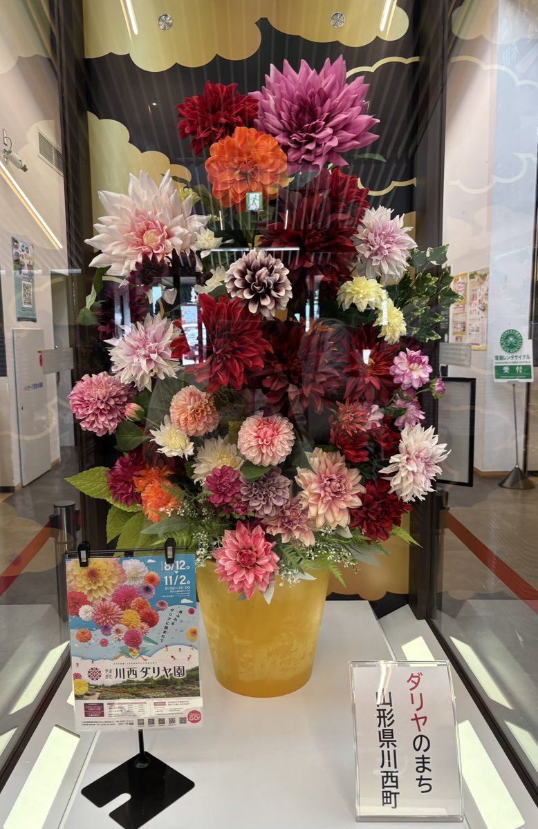rinko385's tweet photo. #道の駅 #米沢 綺麗なダリヤ❣️ https://t.co/ssg0Sf4qHq