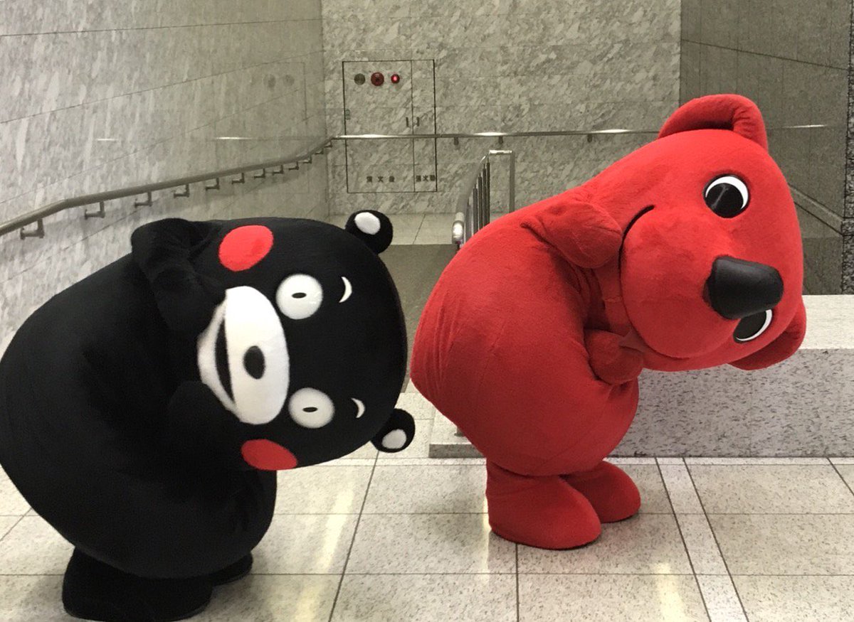 happymonmonmon's tweet photo. @55_kumamon モンちゃんとチーバくん、仲良しだモン🍅🥜
ふたりとも大好き💕
力を合わせて頑張ろー💪💪 https://t.co/Yeh5UtYgUc