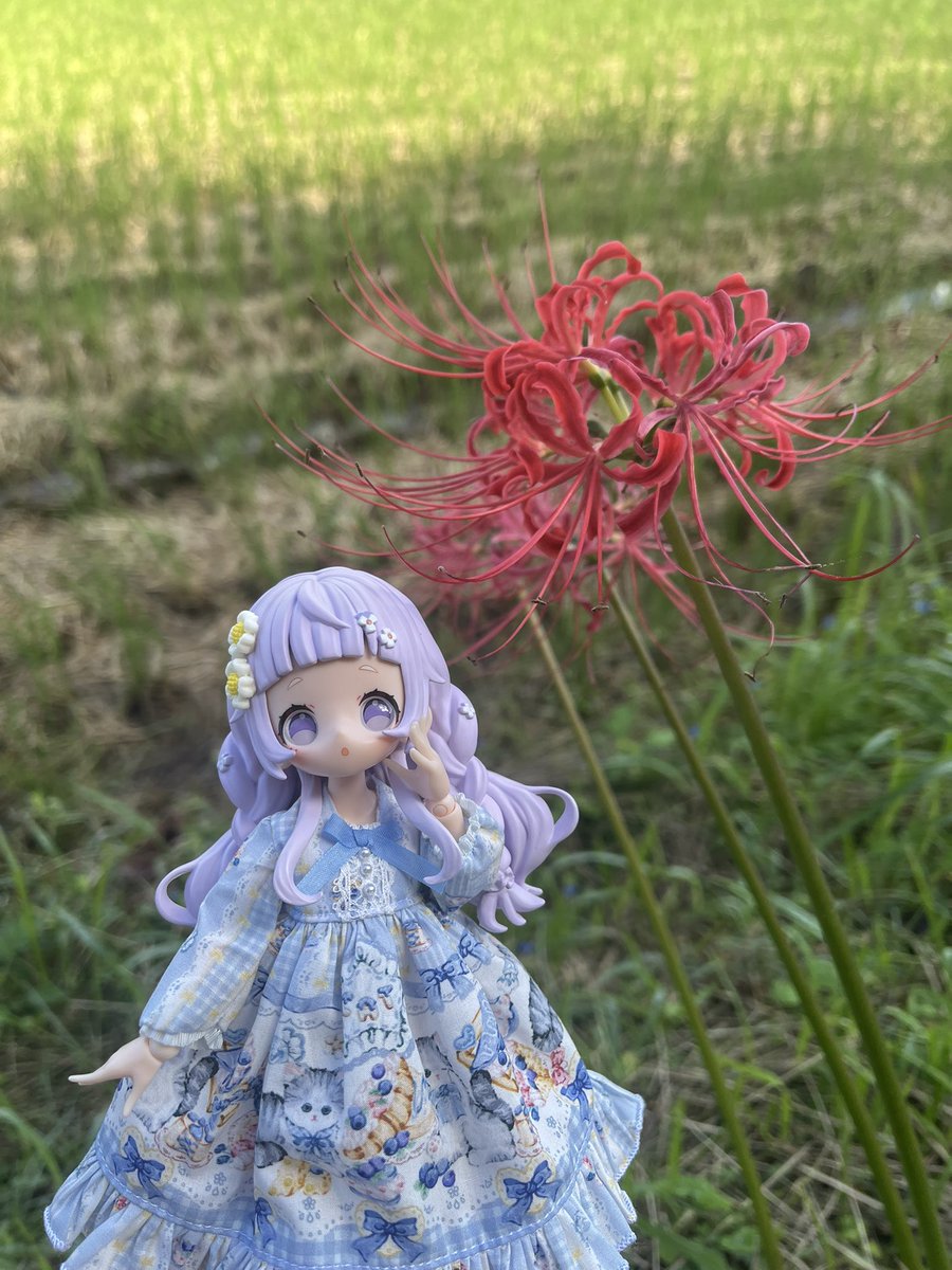 kage_ru's tweet photo. おでかけ https://t.co/PJ8cYPRNJ5