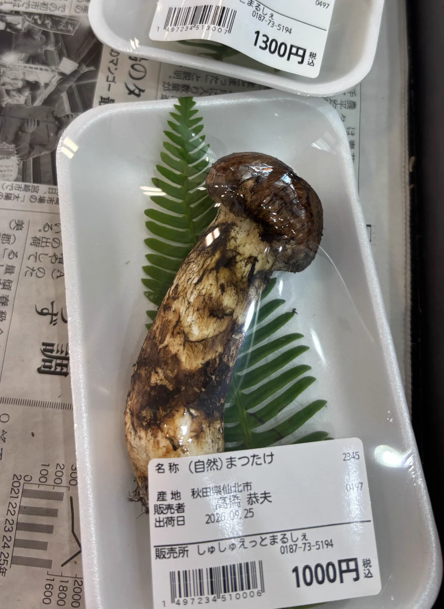 今年の国産松茸が豊作で価格が手頃に