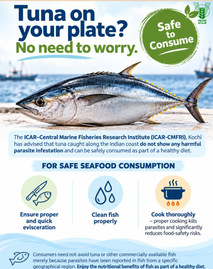 kvknicobar's tweet photo. The ICAR–Central Marine Fisheries Research Institute (ICAR-CMFRI), Kochi has advised that tuna caught along the Indian coast do not show harmful parasite infestation and can be safely consumed as part of a healthy diet. https://t.co/GOqjHwcJgm
