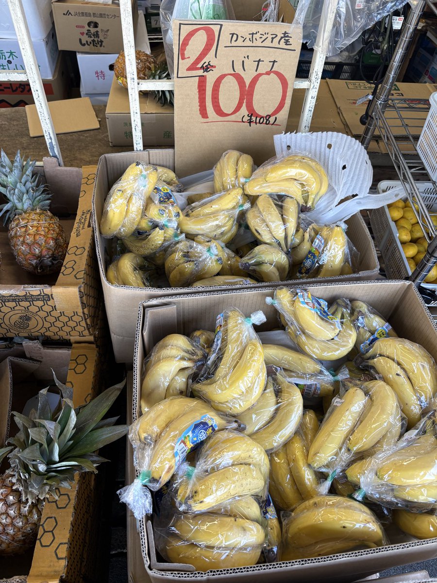 mindhorieten's tweet photo. 茨城産など #なす 2パック 100円🍆
長野産 #サニーレタス 1個 139円🥬
北海道 #にんじん 1袋 199円🥕
➡️2Lサイズ3本入り！！
カンボジア産 #バナナ 2パック 100円🍌
＃マインド堀江店 #八百屋 https://t.co/ycktlYBgKy