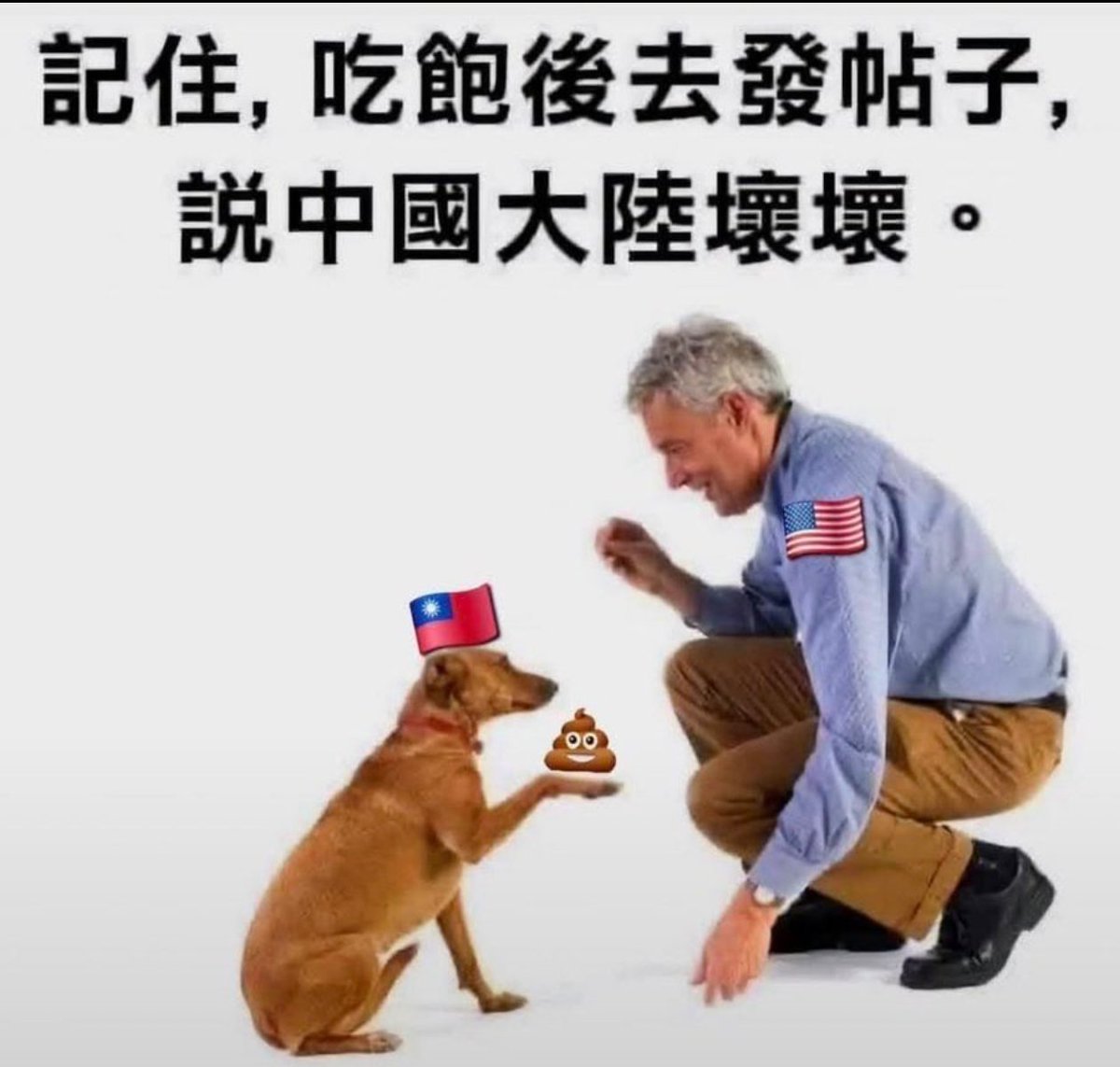pnhaqo's tweet photo. @greenjj1208 @tangangqinmao19 https://t.co/KDGyYMztez