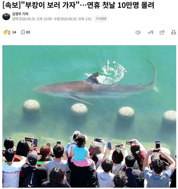 mikug112799's tweet photo. 부캉이의 인기 언제까지 갈까요ㅋㅋ

오늘로 벌써 8일째 부산 북항에 머무는 중인데
추석 연휴 첫날에만 무려 10만 명이 부캉이를 보러 왔다고 합니다.
근데 기사 찾아보니 오래 머무는 게
부캉이한테 마냥 좋은 상황은 아닌 것 같더라고요.

먹이를 따라 들어왔다가 수로 구조 때문에
빠져나가지 못하고 있다는 분석도…
사람들한테는 최고의 추석 명물이지만
부캉이 입장에서는 슬슬 집에 가고 싶을지도 모르겠습니다