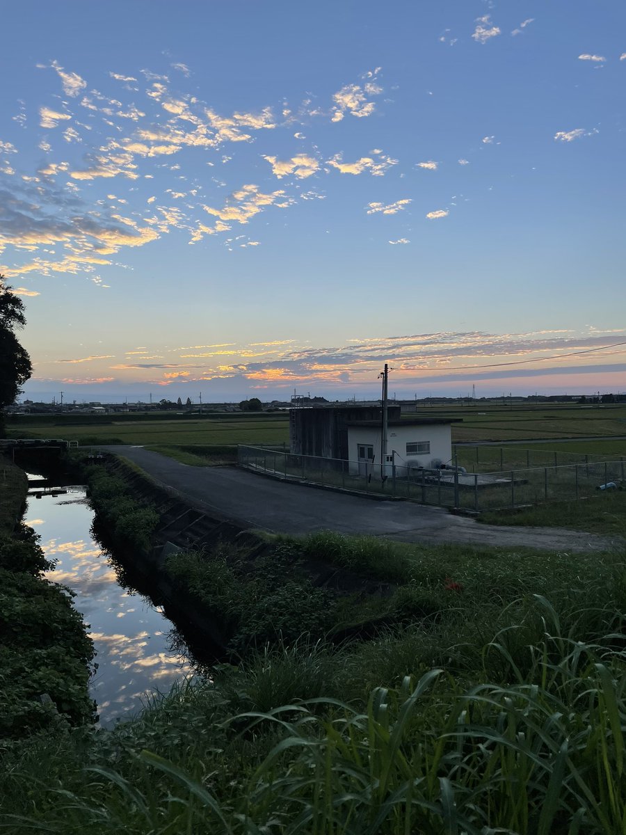 tnsilence's tweet photo. 井水に羊雲が映ってた https://t.co/VTVciDGTWt