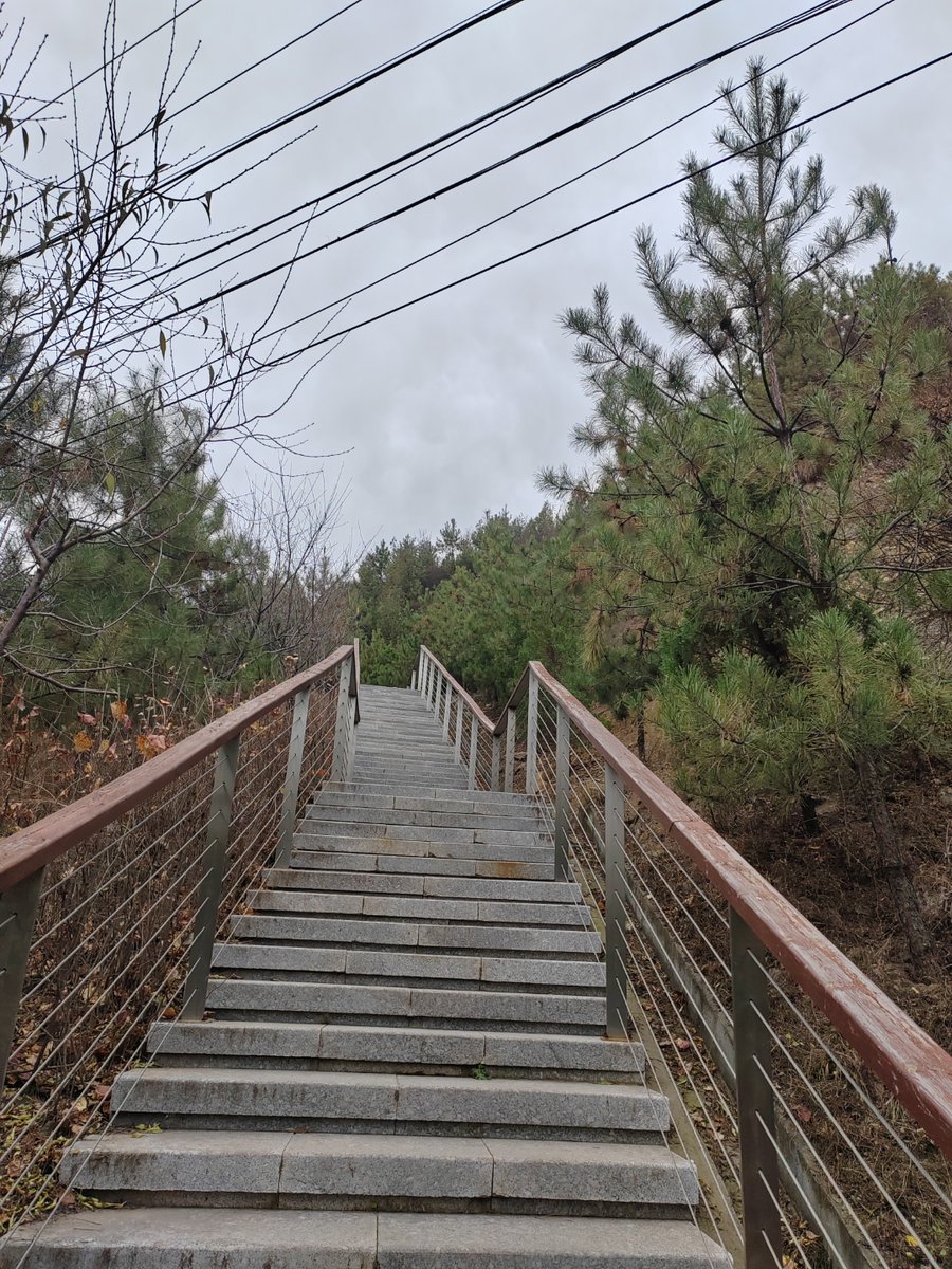 JY1225's tweet photo. [Life’s journey has hurdles—embrace the open, solid railing ahead!]， https://t.co/sEjPdvhN5w