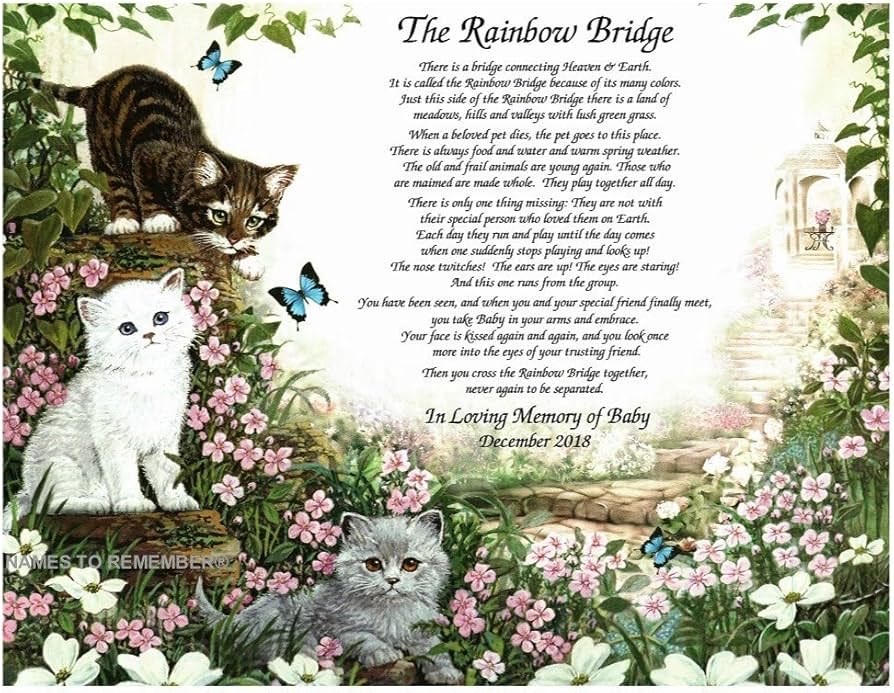 whimsywispz's tweet photo. @KayaggyLu Thank you for giving her a wonderful life 🫂 https://t.co/alpMI3PW39