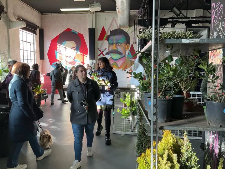 EdoardoArpaia's tweet photo. BOTANICAL GROOVE - Sabato 26 e domenica 27 settembre 2026 Contrada Murazzi ospiterà la terza edizione della festa green animata da piante, workshop e dj set.
https://t.co/sOvoe27hfR
#contradamurazzi #botanicalgroove #orticola #torino #piante https://t.co/kV6bd1qEJN