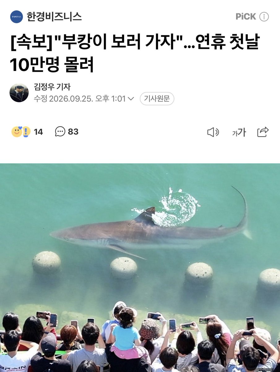 _toma_hawk's tweet photo. 1700억 쏟아부은 여수박람회를 
상어 한마리가 개박살냄 ㅋㅋㅋㅋㅋㅋㅋㅋㅋㅋㅋㅋㅋㅋㅋㅋㅋㅋㅋㅋㅋ https://t.co/DlLo2WaAzq