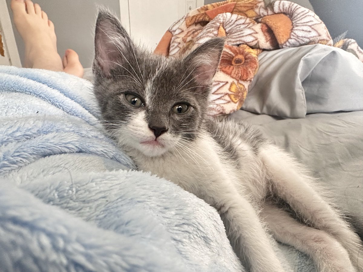 muldoosie's tweet photo. Its Benjamins first @taylorswift13 album release, 4 track album for a 4 month old baby.
#tloasgencore https://t.co/2J8uLO7uc4