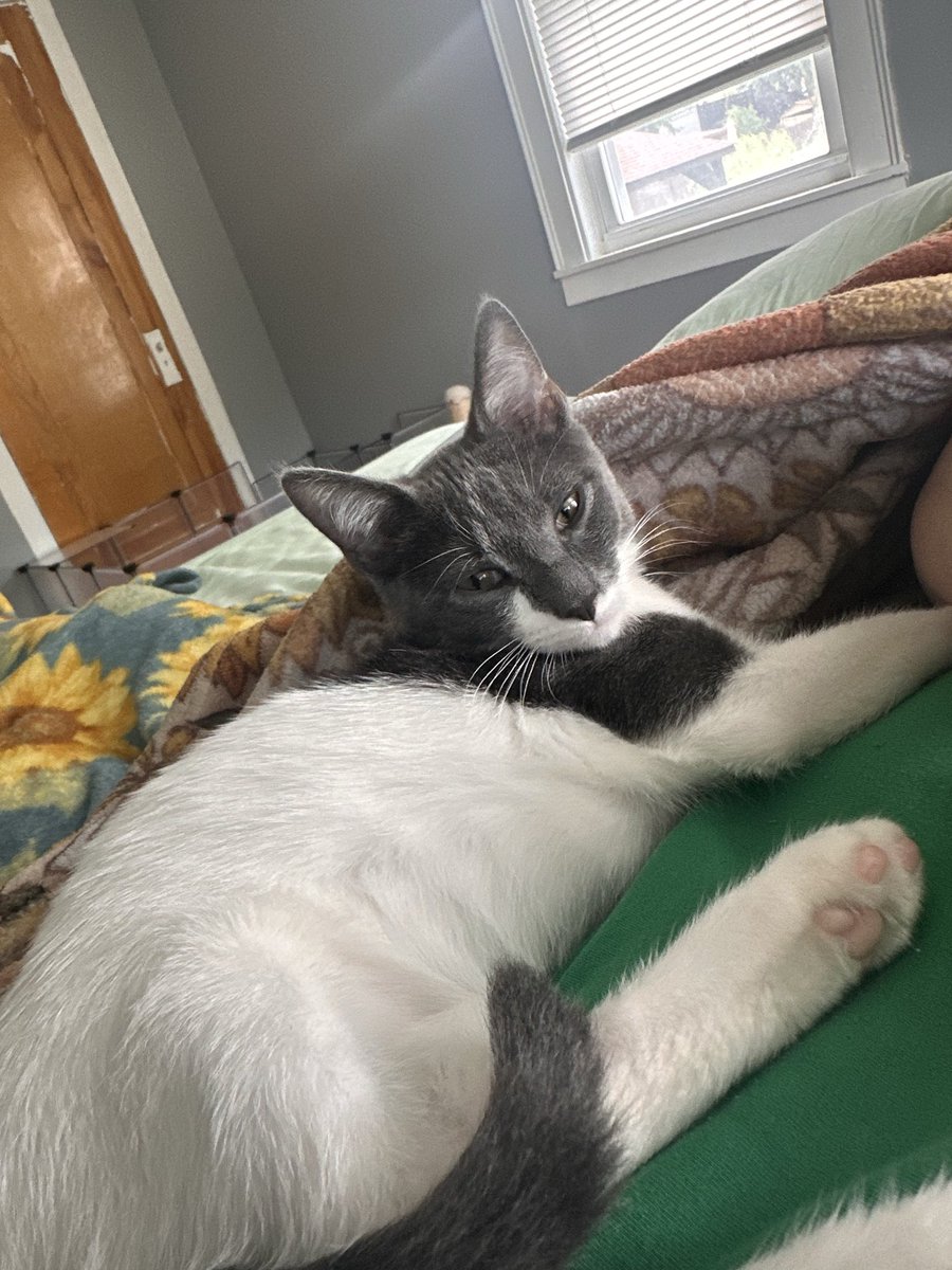 muldoosie's tweet photo. Its Benjamins first @taylorswift13 album release, 4 track album for a 4 month old baby.
#tloasgencore https://t.co/2J8uLO7uc4
