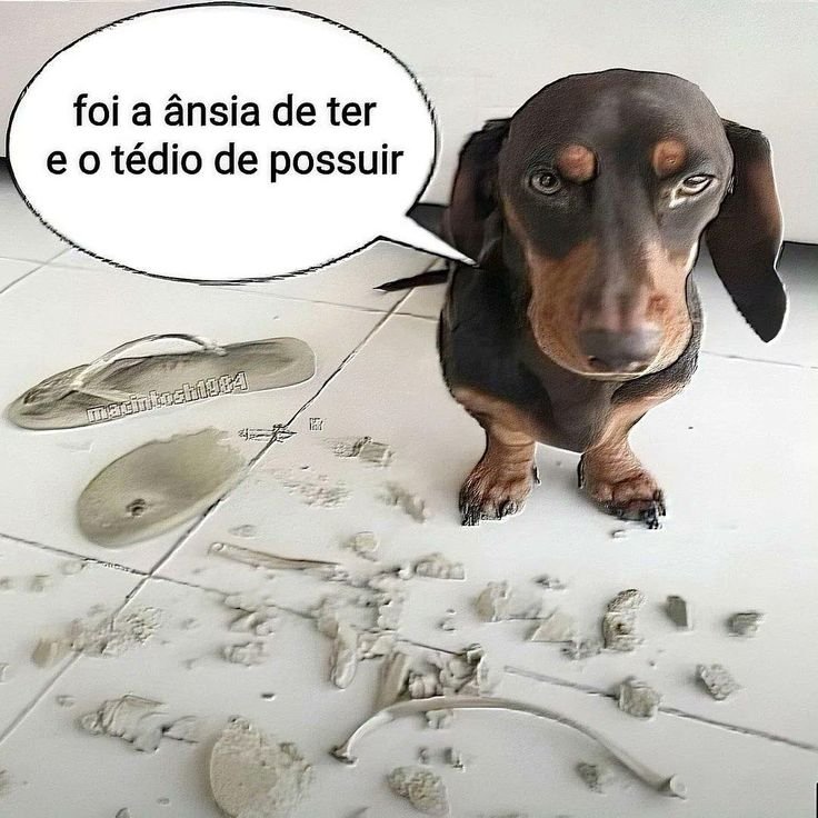 ribamandis's tweet photo. metade dos meus tweets tem o verbo querer mds eu sou ele https://t.co/jVOpywJPfe