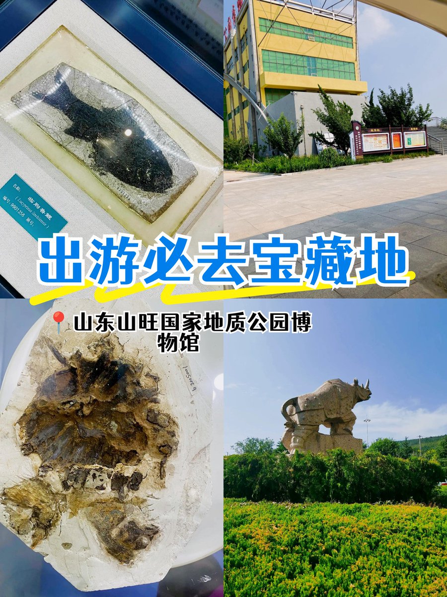 AmandoDeo's tweet photo. Found a rare rock in a cozy library today at Yanwei! ， https://t.co/CjhtFXKPup