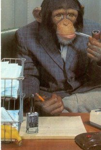 binh777788's tweet photo. Isn't it strange that your age is just the number of laps you've done around the sun Going birdwatching should be prescribed by doctors honestly.
- Nghiệp https://t.co/1q27HtcSdr
