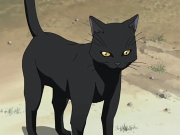 GoddessOfFlashh's tweet photo. Miau~ https://t.co/4OKJul7DOX