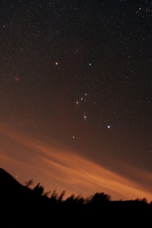 NightSkyToday's tweet photo. Orion Constellation✨ https://t.co/h6BoWjIFUe