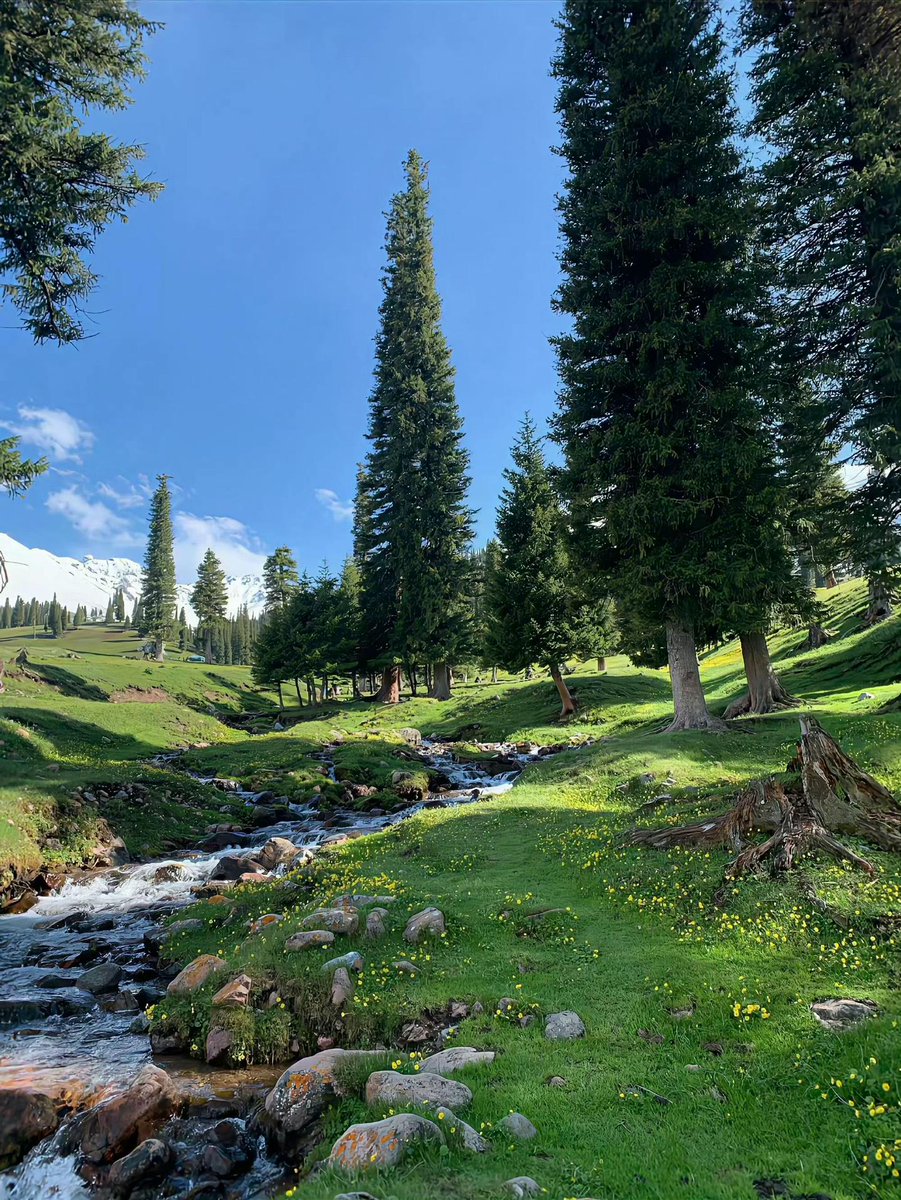 WilberGrolcg's tweet photo. The way serenity settles into the mind creates such a profound sense of clarity. It is truly interesting how peace finds its own balance. https://t.co/xvJsIX6pEl