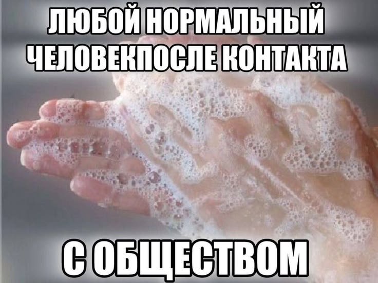 OliverWylf's tweet photo. https://t.co/Icez5F1DT3
