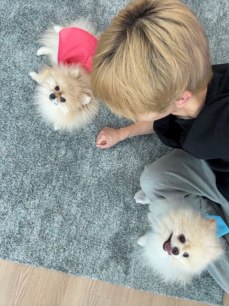 lightyse tweet picture