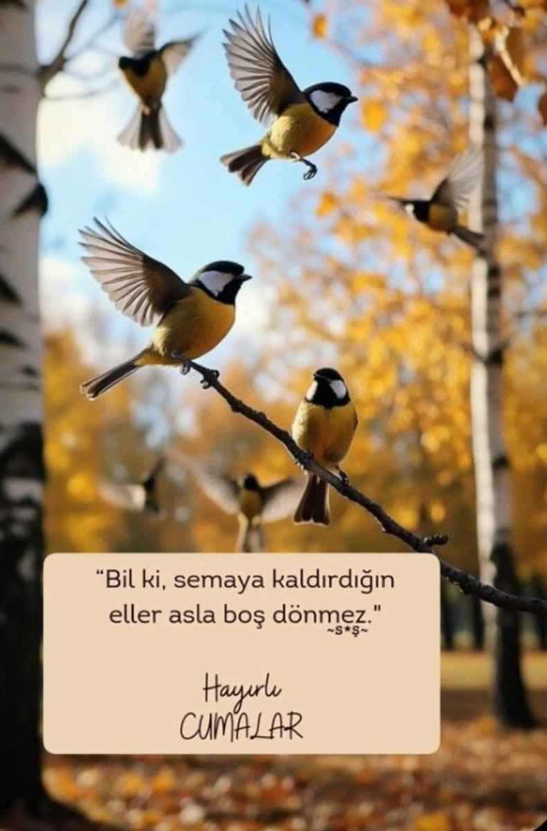 E_f_t_e_l_y_a_'s tweet photo. Bağışlanmak için yeni bir gün daha verildi.
Bugün cuma #Hamd etmek için #tövbe için
#Vuslat için..
Hayırda yarışmak için ,güzel insan ve kul olmak için birgün daha kıymetini bilmelisin🧡
#HAYIRLICUMALAR
#Günaydın
#mutlusabahlar https://t.co/YWsmcbArSF