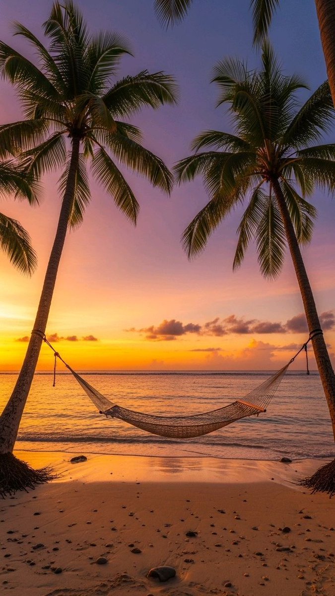 CocoBeachVibe's tweet photo. https://t.co/APeSpgDJBU