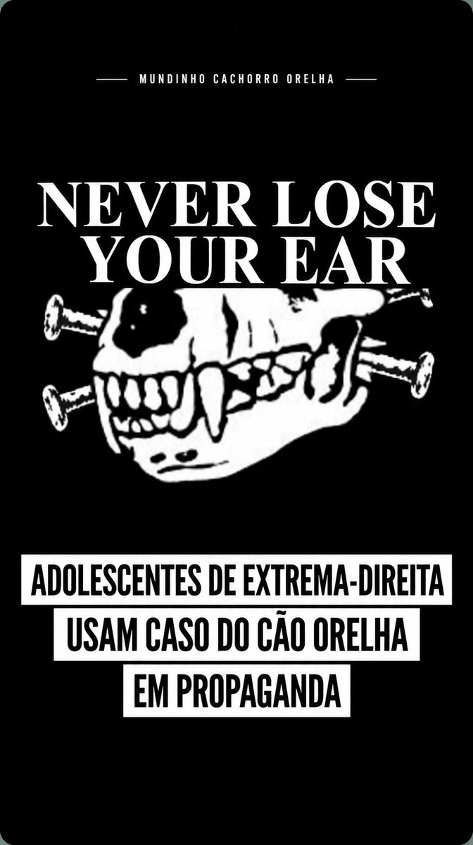 poserweiss's tweet photo. 🚨 GENTE? Adolescentes de extrema-direita de Santa Catarina transformaram o caso do Cão Orelha em propaganda política. 

A situação repercutiu nas redes e deixou internautas chocados: https://t.co/EsijJVlNjV