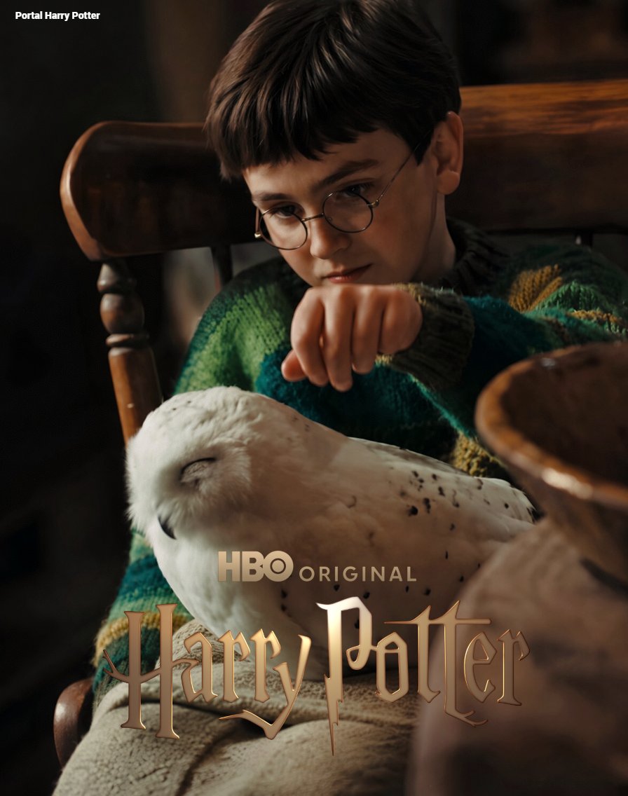 portalpotterbr's tweet photo. Faltam exatamente 3 meses para a estreia da série de Harry Potter.   

Estreia 25 de dezembro. https://t.co/jSjuPv0KkC