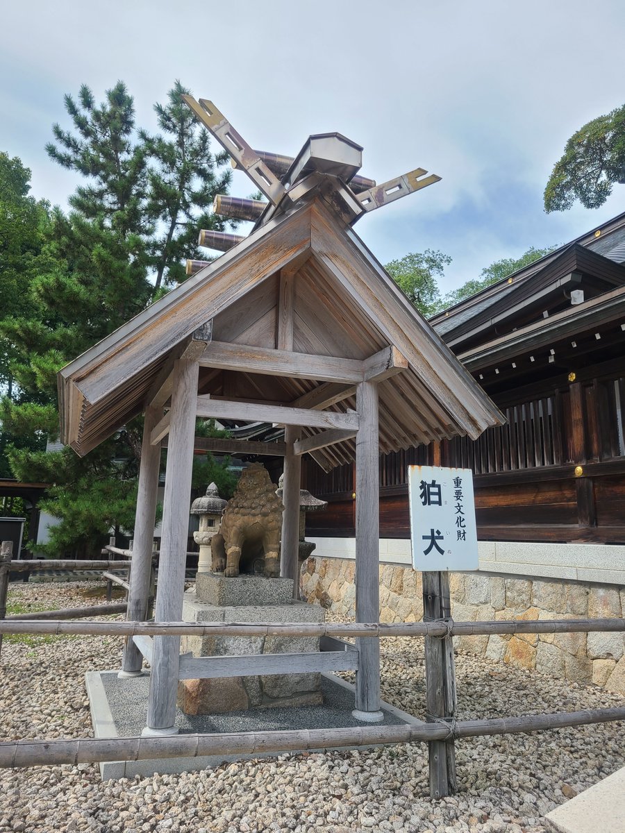 mikabbdae0426's tweet photo. 元伊勢籠神社⛩️着いた時は観光客だらけで騒がしかったけど、どうやら天橋立のケーブルに向かうらしく、観光客が通りすぎた後は静かにお参りできました🙏入ると撮影禁止なので入り口のみ。 https://t.co/6hfGjGTRYG