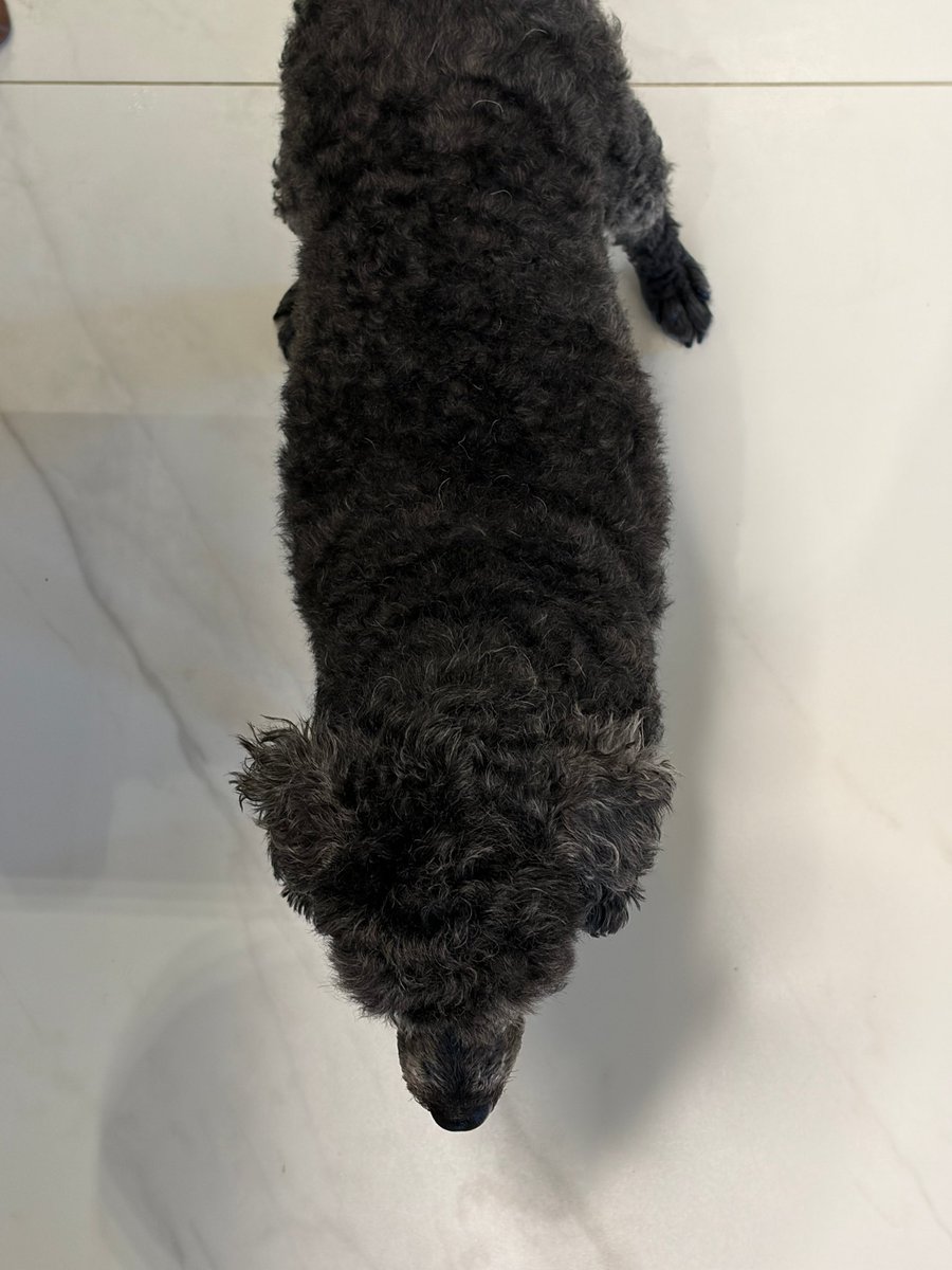 pelagicsoo's tweet photo. น่าจะบ้านคยองซูจริงๆ แล้วมั้ยนะ แต่ถ้าจะรวยก็ไม่แปลกใจเลยทำงานเยอะมากกก แล้วดูเป็นคนไม่ค่อยใช้เงินไปกับของฟุ่มเฟือย เสื้อผ้า แอสเซสเซอรี่ใดๆก็เรียบง่ายมีแพงบ้างแต่ก็ไม่ค่อยใส่ให้เห็น จะแพงก็แต่อาหารมิชลิน 55555555 https://t.co/34Pmv236JC
