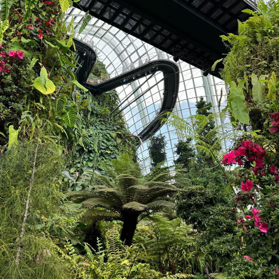 Chen_AlphaAim's tweet photo. I came to visit the botanical garden by myself during the holiday. https://t.co/B5XKGa14us