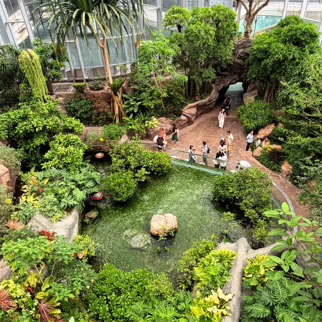 Chen_AlphaAim's tweet photo. I came to visit the botanical garden by myself during the holiday. https://t.co/B5XKGa14us