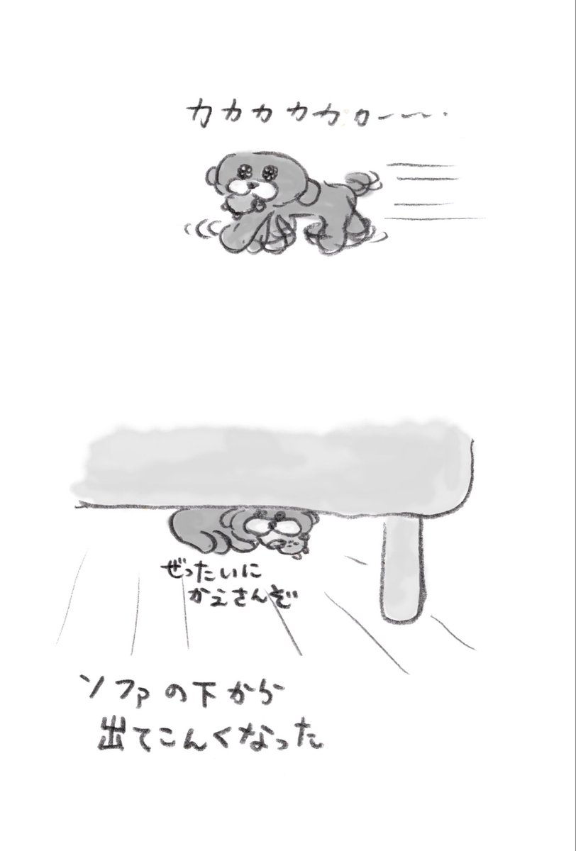 gyuunyuu_umai's tweet photo. ゲットしたぬいぐるみ🐹 https://t.co/hsXv7xEy9N