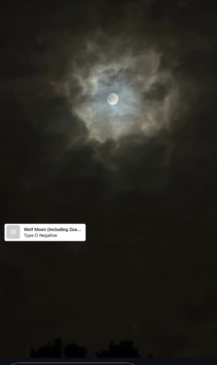 Deadwinterbook's tweet photo. #TypeONegative #Metalhead #MetalgirlsDoItBest #Skeleton #moon #Alternative #kvlt #Spooky #Night 🎸🤘🏼 https://t.co/tRey5WAURG