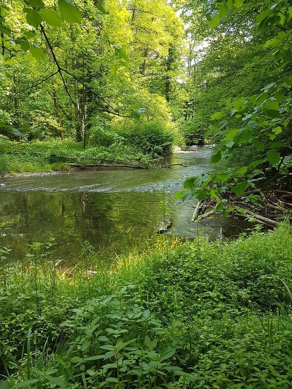 LarsHobbyfotog1's tweet photo. Lars-H Hobbyfotografieren hat ein Foto von der Flickr-App aus mit dir geteilt! Ansehen:
https://t.co/CGuHPvS1eZ https://t.co/CKl3LHpJtZ