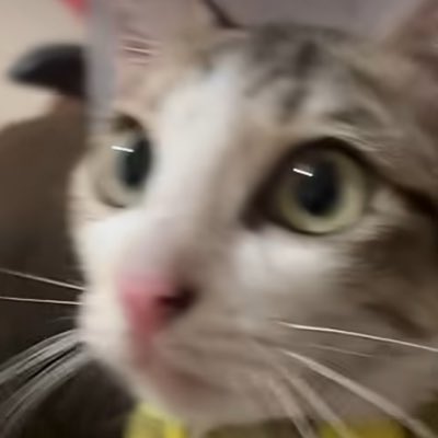 czkrdev's tweet photo. #NewProfilePic https://t.co/fhTZFUZCIT