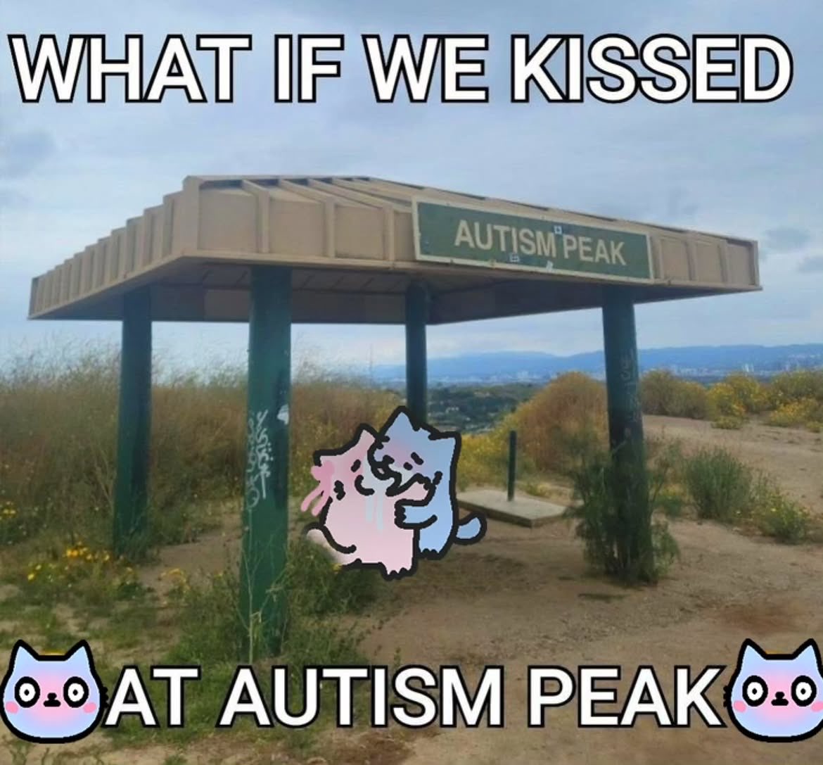 NubCatMemes's tweet photo. https://t.co/6aDXTyGr4V