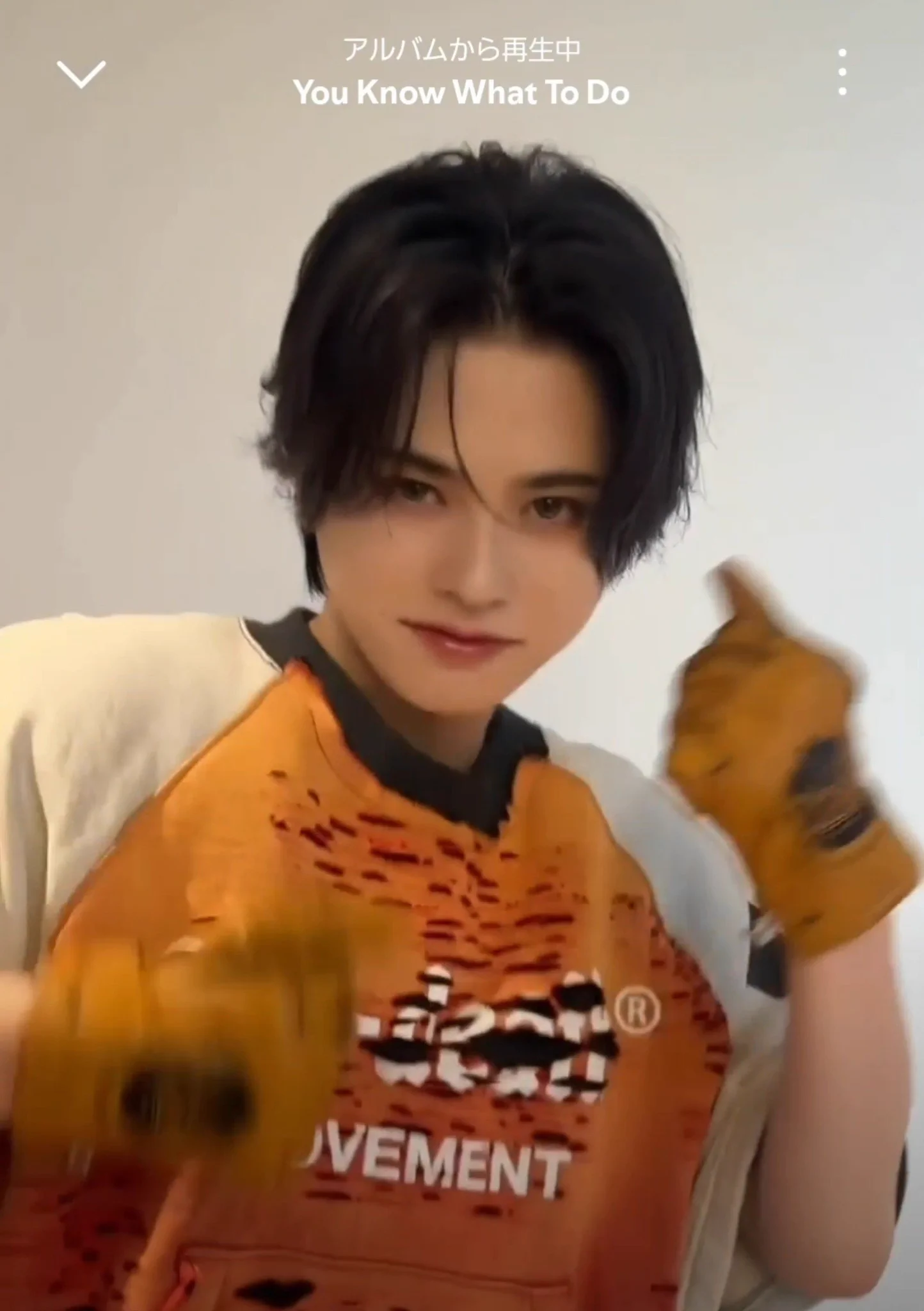 🌹😸あんずちゃん😸🌹 on X: 