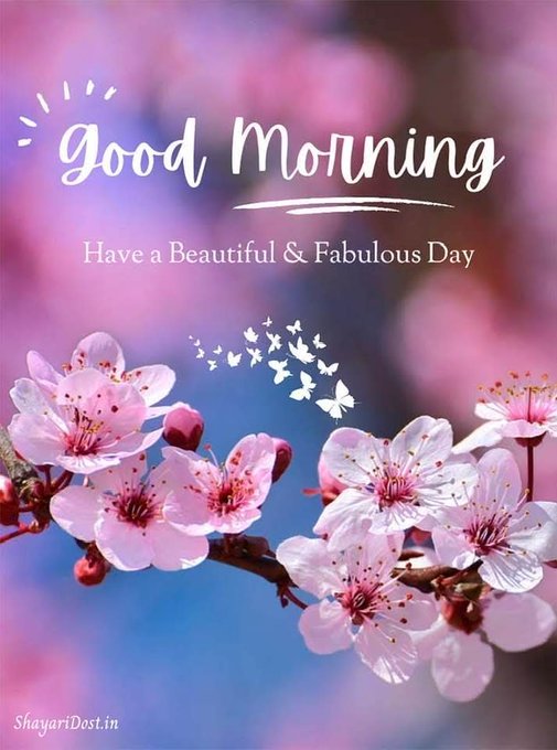 A 'Good Morning - Have a Beautiful & Fabulous Day' greeting card featuring pink cherry blossoms and butterflies, watermarked ShayariDost.in.