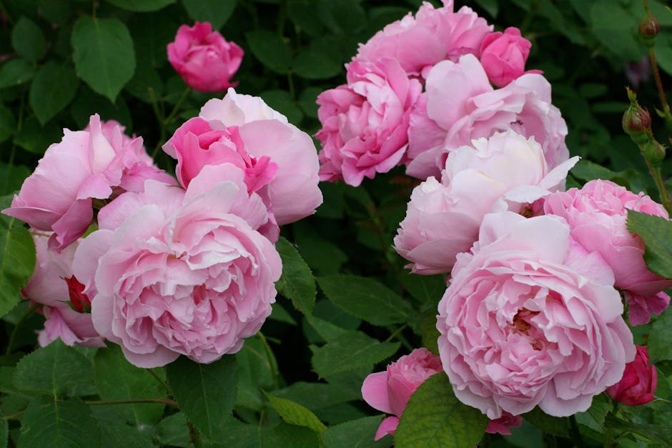 KayleVmOsbor0S4's tweet photo. Henry Logan nonstop with and Bella Eleanor Laughing sydney kozisek📚 https://t.co/OkCaXi1p9Q