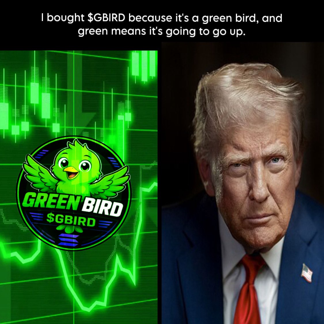 greenbirdsol's tweet photo. Real? https://t.co/wKyDnhx2CP