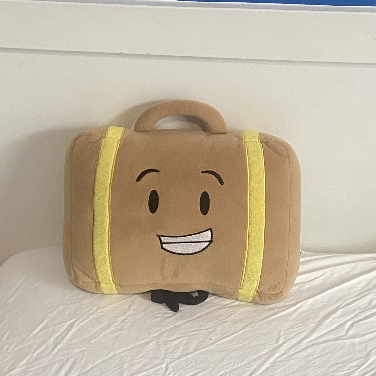 ayanavision's tweet photo. this morning i woke up to suitcase sitting very politely https://t.co/KEphZI9imq