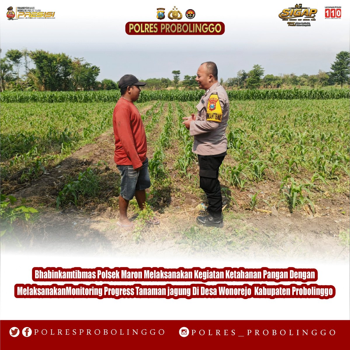 BantaranSektor's tweet photo. ๐ฝ Jaga Ketahanan Pangan, Dukung Petani! ๐ค๐ฑ
Bhabinkamtibmas Polsek Maron melaksanakan kegiatan ketahanan pangan dengan melakukan monitoring perkembangan tanaman jagung di Desa Wonorejo
#PolresProbolinggo #PolsekMaron #Bhabinkamtibmas #KetahananPangan #Petani #TanamanJagung https://t.co/pyHEUld7dF