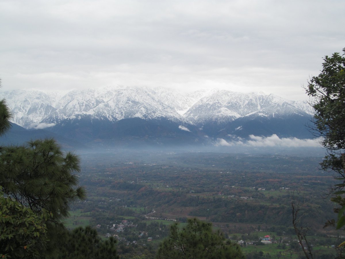 BeingHimachali's tweet photo. Sullah Valley, Palampur, Himachal Pradesh

February, 2014 https://t.co/ISwHBUimuJ