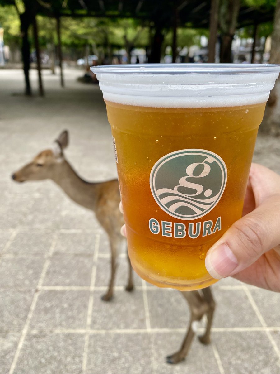 niwandee's tweet photo. 宮島のビール200円リフィルシステムすげえ。酒カスパラダイス https://t.co/7GvtPb1LEL