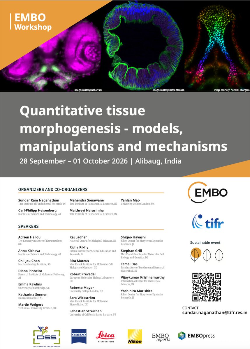 Sundar_Ram_07's tweet photo. The countdown begins ⏳ Just 2 days to go for our #EMBO conference on Quantitative Tissue Morphogenesis in Alibaug, India!
An exciting lineup of speakers, a beautiful venue, and post-monsoon greenery 🌿
Follow the conference with #QTIM26
@TIFRScience @TIFR_Bio @EMBO @EMBOPress https://t.co/eKzqYf8RVD