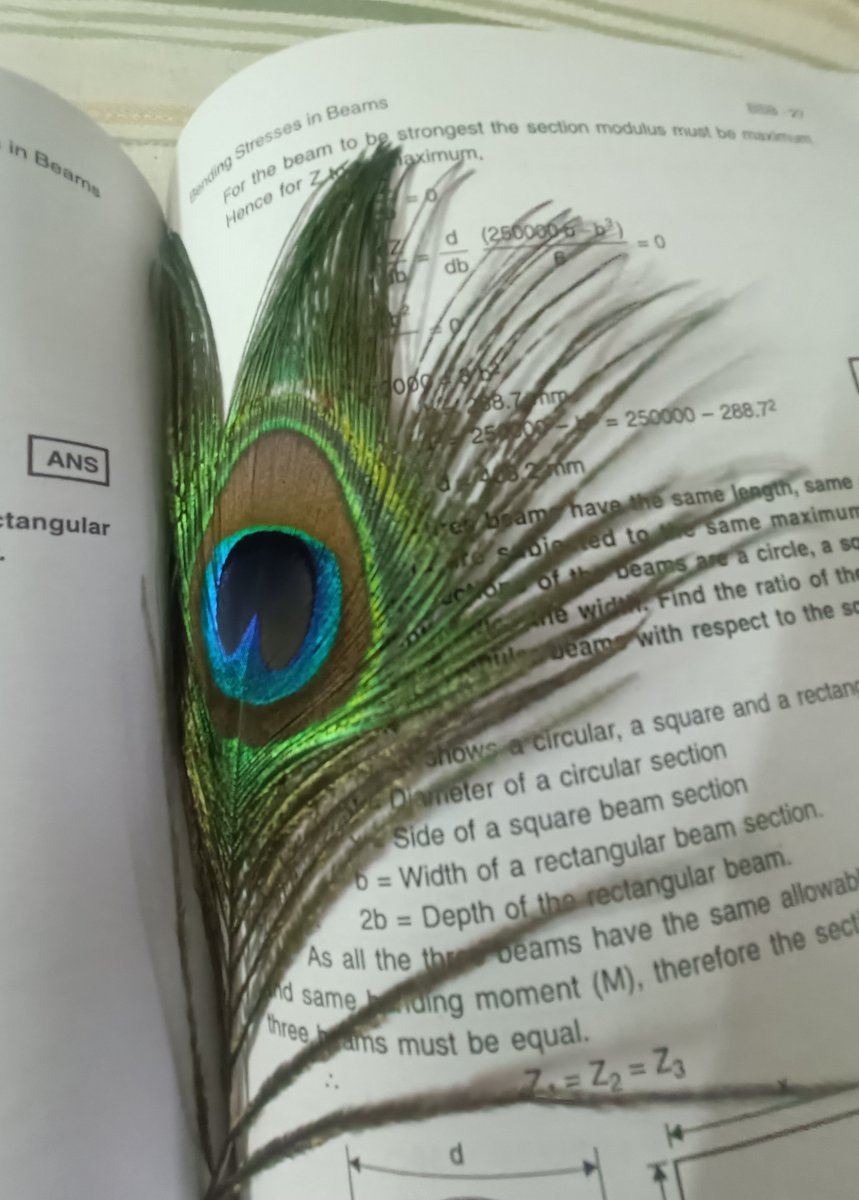 The_Narrator08's tweet photo. Keeping a peacock feather in a book improves one's studies. 😂 https://t.co/16AD0xVl4y