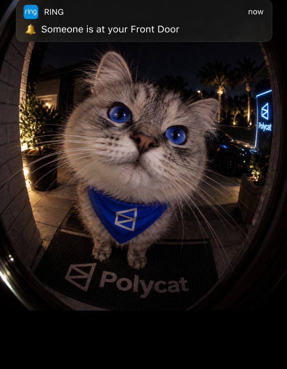 BatmanTradez's tweet photo. Did someone say $POLYCAT @Aurelius0121 

Hold $POLYCAT → earn @Polymarket PreStock. JOIN THE TG

https://t.co/utDnyt6iUb

Buy the cat. Hold the cat. Get rewarded in pre-IPO tokenized Polymarket stock through the 3% holder-reward mode.
Simple loop. That’s the play.

CA: 9Uqpbbpq7EzAtotoQJhRhD9DUnWAQKB2Bzc2ym7J4yzD
NFA.