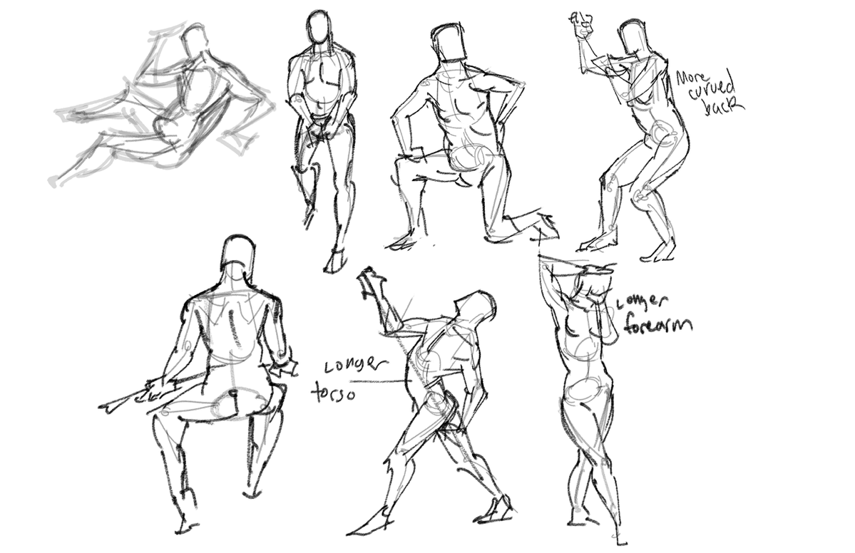 CompleteAviary's tweet photo. Warmups and study https://t.co/SbgluLWGTJ