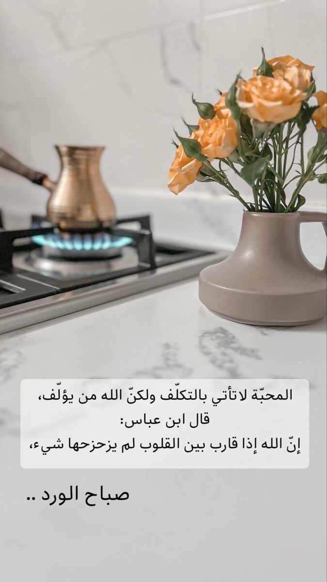 AlgalbHams1's tweet photo. #صباح_الورد #جمعة_مباركة🧡🌿 https://t.co/wZAndkVyrd